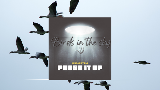 HIP HOP TYPE BEAT "BIRDS IN THE SKY" [Instrumental 2023]