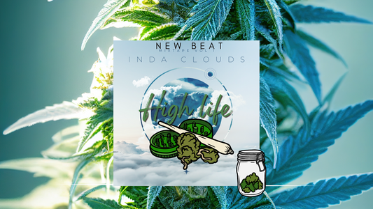 FUNK HIP HOP TYPE BEAT ~ "HIGH LIFE " [Instrumental 2023]
